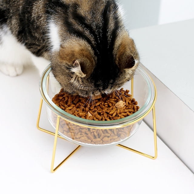 WRITWAA 1Pcs Bol de Nourriture pour Animaux en Verre Transparent Design à Base Haute Oblique Dorée pour Chien Chat