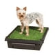 thumbnail image 1 of Orinal portátil para perros PetSafe para adiestramiento doméstico, 1 of 6