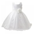 thumbnail image 1 of CNKOO Robe Princesse en Dentelle Cinderella pour Petites Filles Robes de Bal de Concours Robes de Filles en Tulle Fleur, 1 of 3