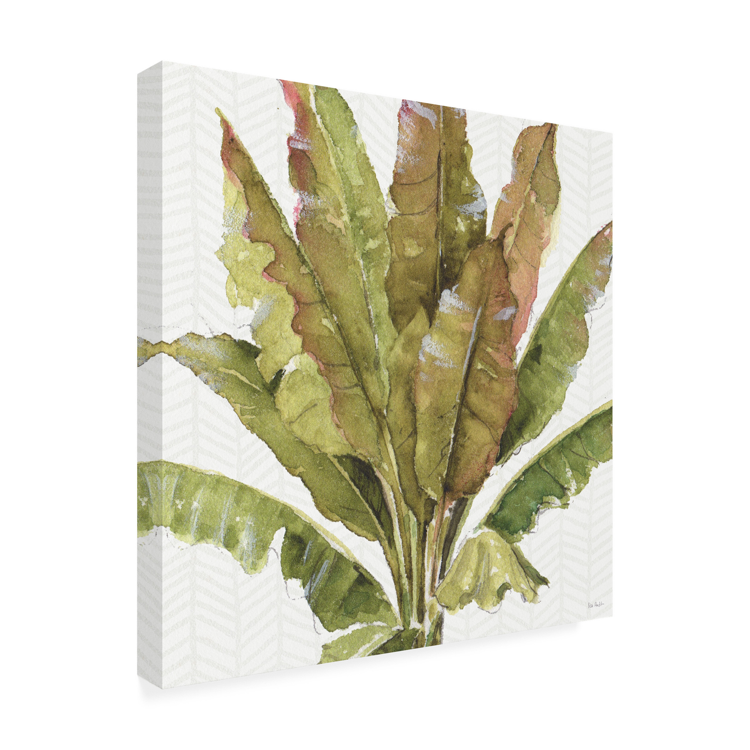 Trademark Fine Art 'Mixed Greens VII' Canvas Art by Lisa Audit
