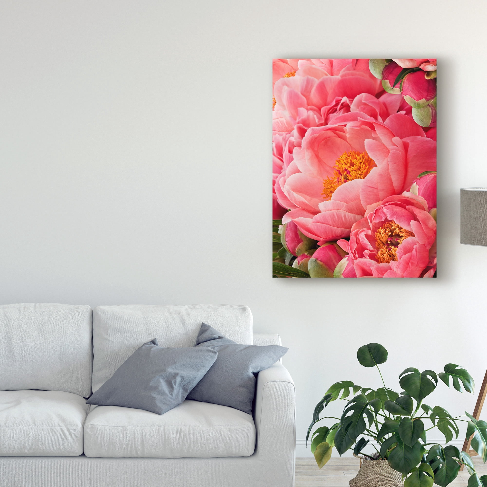 Trademark Fine Art 'Coral Peonies II' Canvas Art by Rachel Perry