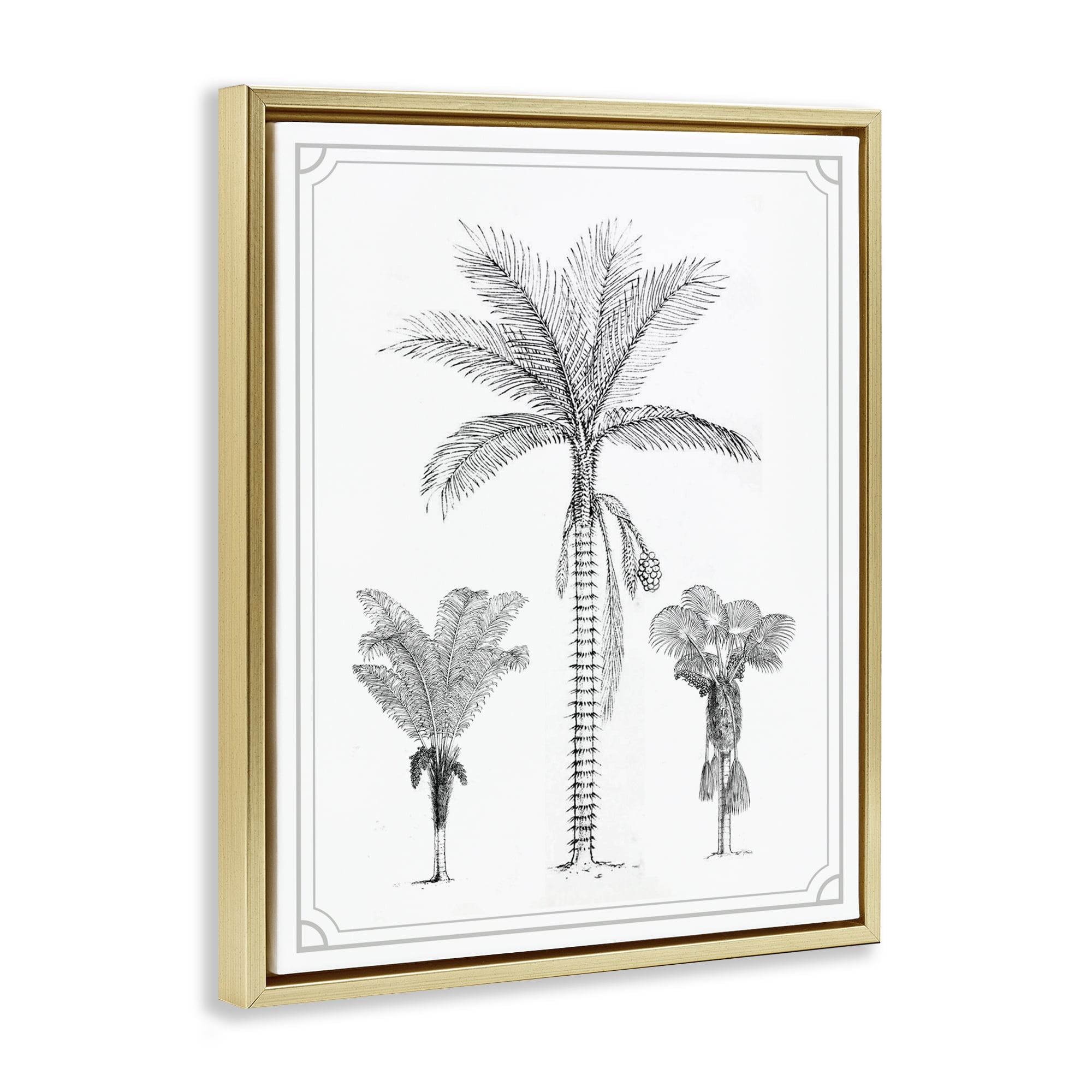 Palm Tree Trio Sketches Gold Framed Floater Canvas Wall Art, design by Lettered and Lined