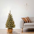 PreLit Artificial Mini Christmas Tree, Includes White LED Lights and