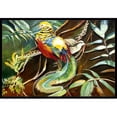 thumbnail image 1 of Carolines Treasures JMK1014MAT Faisan à la Mandarine Tapis Intérieur et Extérieur- 18 x 27 Po., 1 of 4