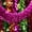 A11, variant on Easter Garland Decor,6.6Ft Glitter Tinsel Spring Garland Decorations for Tree Mantle Bedroom Office Classroom Party Indoor Outdoor Holiday Home Pink Yellow Blue Green White