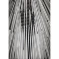 thumbnail image 1 of Ahgly Company Machine Washable Indoor Rectangle Transitional Gray Area Rugs, 8' x 10', 1 of 7