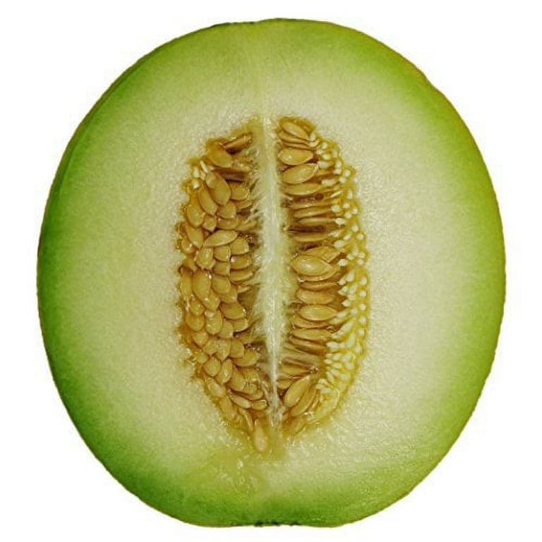 Bonnie Plants Honeydew Cantaloupe - Get Great Value, Give to a
