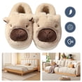 thumbnail image 1 of Carpincho Borrosas Pantuflas Mullidas para Parejas Con Punta Cerrada Felpa Lindas Cómodas Antideslizantes Interior, 1 of 9