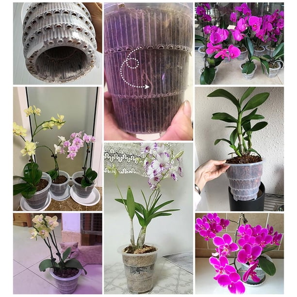 Root Control Orchid Flower Mesh Pot Contenedor transparente transpirable (10 cm) Likrtyny Libre de BPA