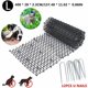 thumbnail image 2 of Alfombrilla antigatos con pinchos, alfombrilla para perros y gatos, protección para muebles de sofá, alfombrilla con pinchos para gatos, alfombrilla repelente de gatos, alfombra de 4M, color negro-Aleko ACTIVE Biensenido a ACTIVE, 2 of 5