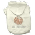 thumbnail image 4 of Halloween Pet Dog  Cat Hoodie Rhinestone, "Lil Punkin", 4 of 8