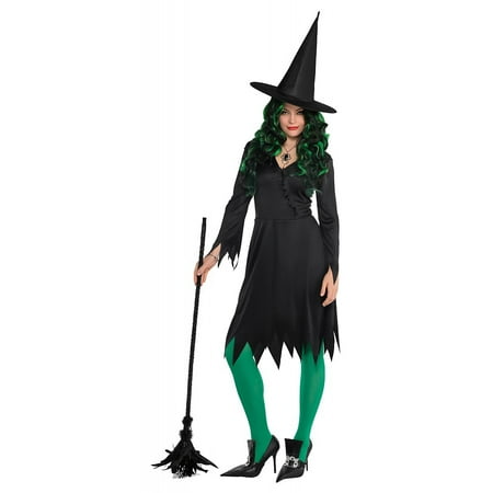 Wicked Witch Adult Costume - Standard (Best Witch Costumes For Adults)