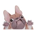 thumbnail image 3 of Car Window Sticker, PVC 8.7x6.3in Bulldog Cute Cartoon Car Decal Waterproof Cuttable  For Vehicle Decorations Brown, 3 of 8