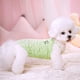 thumbnail image 3 of Ropa para cachorros de primavera y verano, sencilla, con tirantes finos de malla transpirable, ropa para perros pequeños y medianos de dos pies para mascotas y gatos, 3 of 6