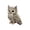 D, variant on DIY Embroidery Sewing Kit Forest Magical Animal Doll Making Set Handmade Critter Sewing Kit for Adult Beginners Craft Party Bedroom Desk Decor Birthday Gift