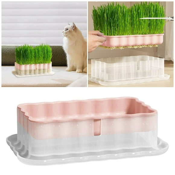 Transparent Cat Planter Pot for Indoor Hydroponic Growing | Soilless Sprout Tray for Wheatgrass on Balcony or Windowsill