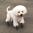 thumbnail image 2 of Greeniant Zapatos para mascotas Botas deportivas para interiores Malla Transpirable Clásico Algodón Cremallera Calzado para mascotas Ropa para mascotas marrón cinco Greeniant PT000055-20B, 2 of 6