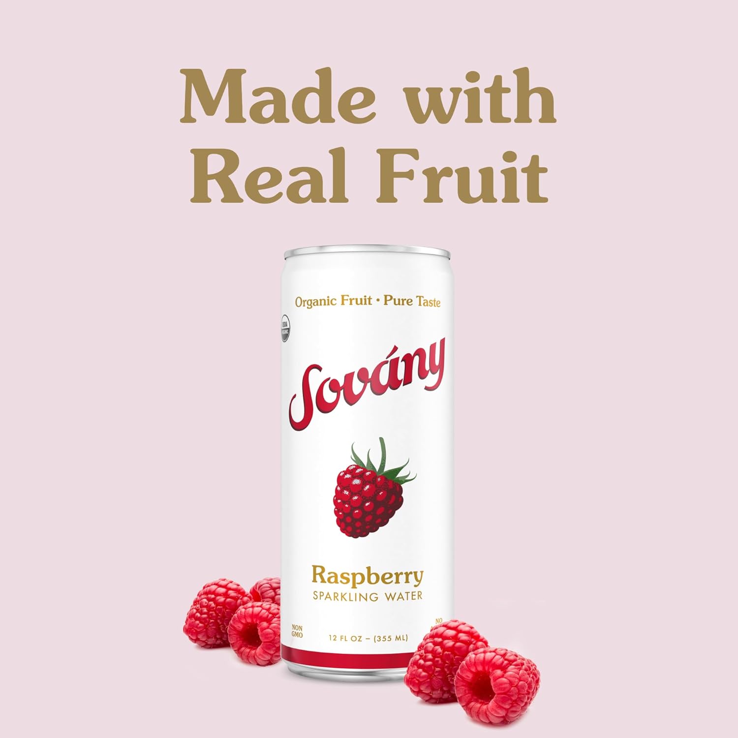 (Pack Of 6) Sovany Water Sparkling Remarkable Raspberry 4 Pack 48 Fo