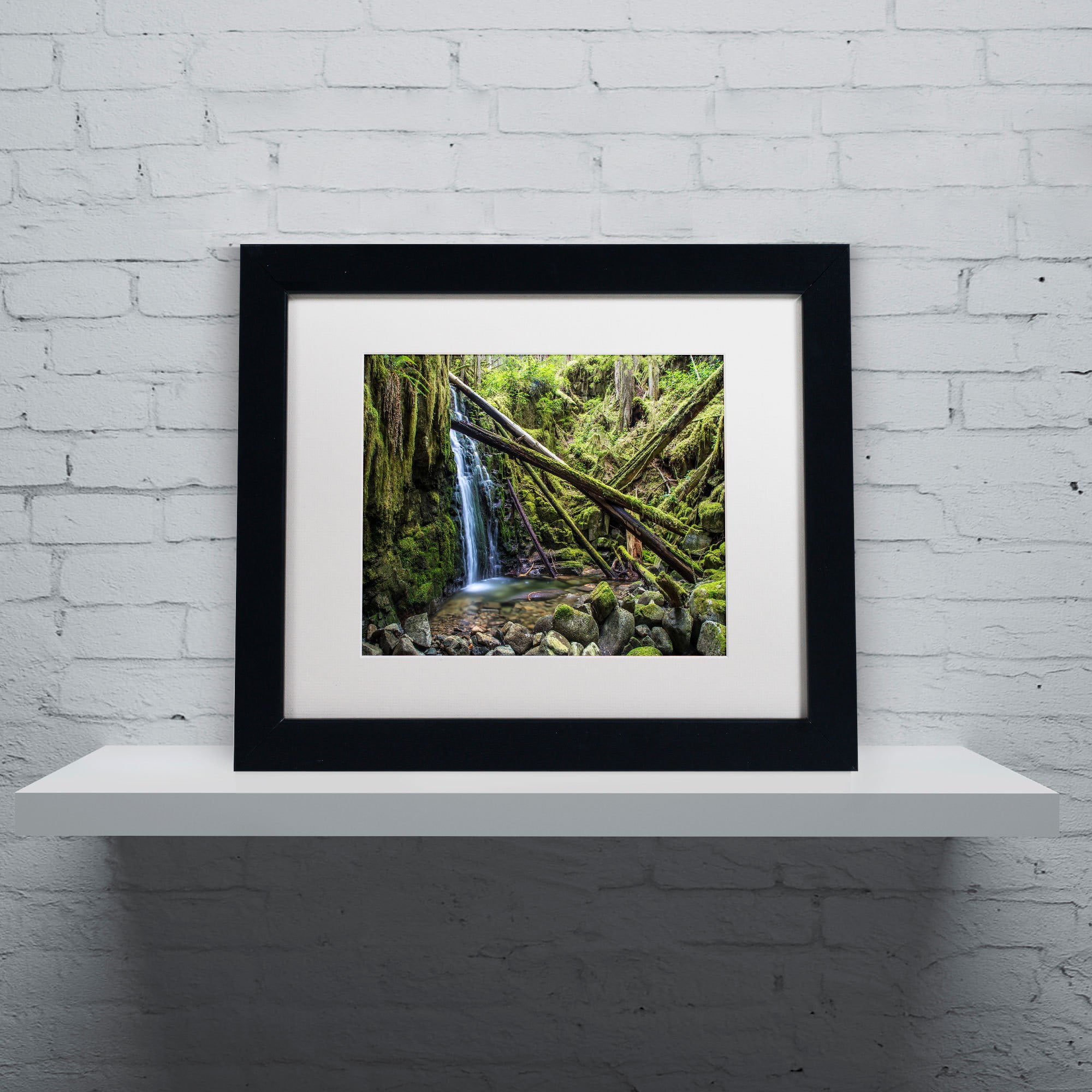 Trademark Fine Art "Wilderness" Canvas Art by Pierre Leclerc, White Matte/Wood Frame