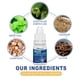 thumbnail image 5 of Líquido para la salud de la nariz, Xanthium Sibiricum, suministros de aceites esenciales para el cuidado nasal, 10ml Ndcxsfigh  Cuidado Belleza, 5 of 8