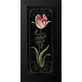 thumbnail image 2 of Audit, Lisa 8x14 Black Modern Framed Museum Art Print Titled - Tulipa Botanica III, 2 of 5