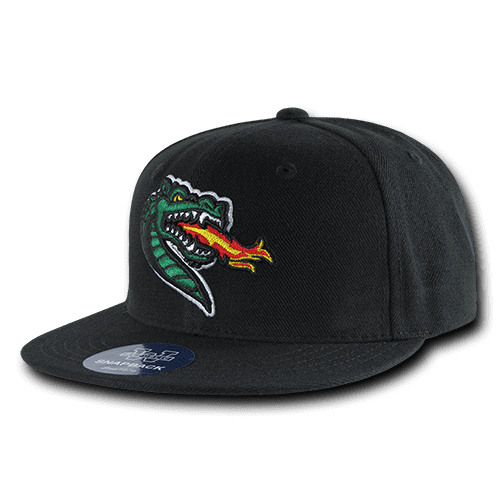 snapback hats birmingham