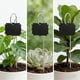 thumbnail image 3 of CRAFTHROU 1Jgo Marcadores De Jardín Acrílicos Resistentes Para Plantas En Macetas Y, 3 of 8