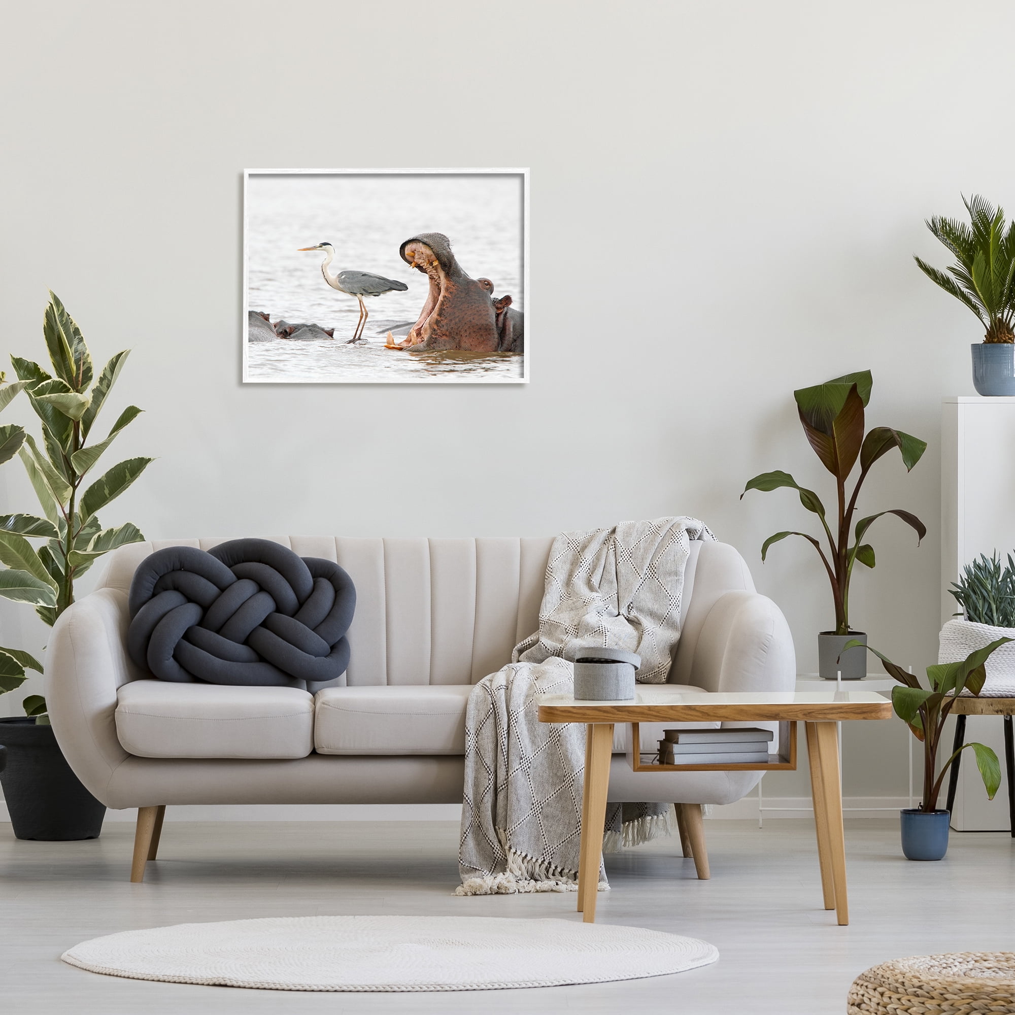 Stupell Industries Hippo & Heron Photography Animals & Insects Photography White Framed Art Print Wall Art, 30 x 24