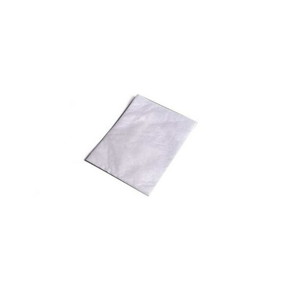 TVP Vaccum Cleaner Filter-Secondary/Bosch Compact Canister # 95772