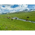 thumbnail image 2 of Zwick, Martin 18x15 Black Ornate Wood Framed with Double Matting Museum Art Print Titled - Horses on summer pasture The Suusamyr plain-a high valley in Tien Shan Mountains-Kyrgyzstan, 2 of 4