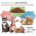 thumbnail image 2 of Cuencos para gatos, plato pequeño para gatos, cuenco de comida para gatos, cuenco de agua para gatos, cuenco de plástico y bonito para mascotas, plato de comida húmeda y agua para gatos (juego de 3) JAMW Sencillez, 2 of 5