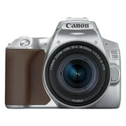 Canon EOS 250D 24.2MP 4K Digital SLR Camera with 18-55mm Lens Silver