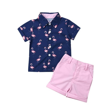 

Zervatek Toddler Baby Boys Clothes Set Summer Kids Flamingo Print Shirt Top Solid Shorts