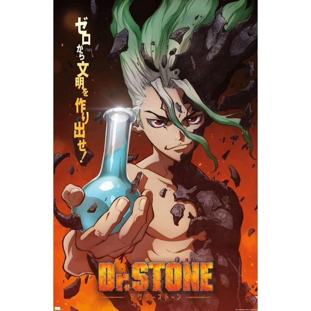 Dr Stone One Sheet Wall Poster 14 725 X 22 375 Walmart Com
