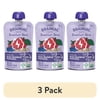 (3 pack) Little Brainiac Organic Fruit & Oat Toddler Food with BrainPack, Berry Apple Oat, 3.5oz