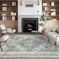 thumbnail image 4 of BERTHMEER 5'x7' Persian Area Rugs for Living Room Gray Rugs Kitchen Bedroom Office Farmhouse Vintage Retro Distressed Oriental Rugs Machine Washable non-slip, 4 of 9