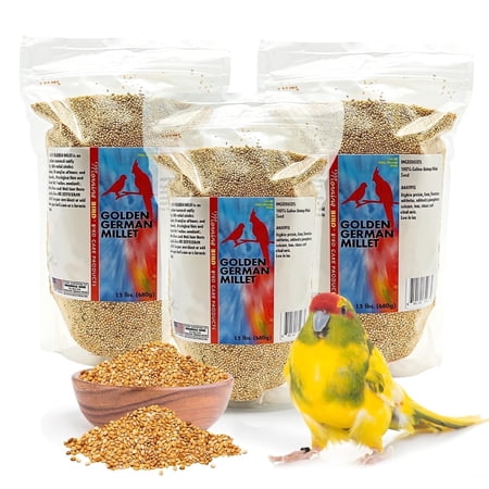 Morning Bird Golden German Millet 4.5 lbs (3-Pack, 1.5 lbs Each) – Bird Seed & Parakeet Food with Protein & Vitamin B – Easy-to-Digest Millet Seed, Natural Food & Daily Nutrition for All Type of Bird