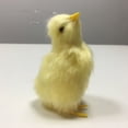 thumbnail image 3 of Simulación Lindo Peluche Pollito Juguete Pascua Realista Peludo Pollo Educación Temprana, 3 of 4
