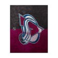thumbnail image 2 of Head Case Designs Officially Licensed NHL Colorado Avalanche Half Distressed Vinyl Sticker Skin Decal Cover Compatible with Microsoft Xbox One X Bundle, 2 of 9