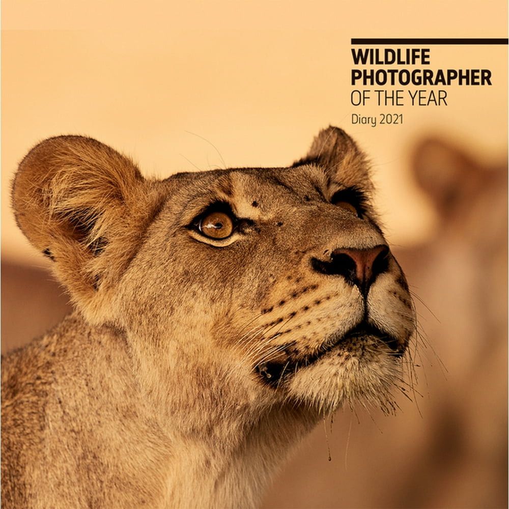 Wildlife Photographer of the Year Diaries: Wildlife Photographer of the
