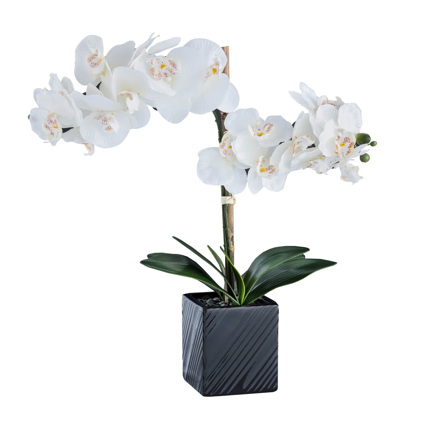 Synthetic Two Stem OrchidWhite