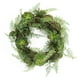 Melrose Couronne Succulente Artificielle de Poules et Poussins Verte 22 Pouces – image 1 sur 1