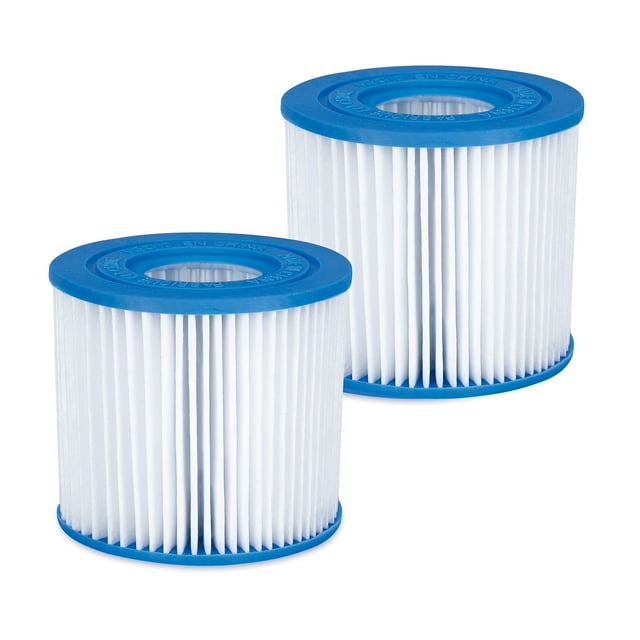 Summer Waves P57000102 Cartouche de Filtre de Remplacement Type D pour Piscine et Spa, 2 Pack
