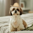 thumbnail image 4 of Luxshiny Sombrero Para Mascotas De Paja Con Atractivo Y Correa Ajustable Para Exteriores, 4 of 6