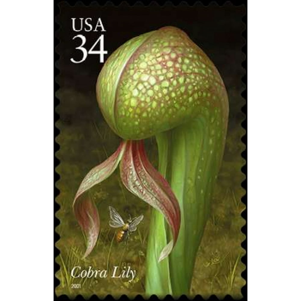 Cobra Lily Poster Print by US POSTAL SERVICE Item VARPDX3353