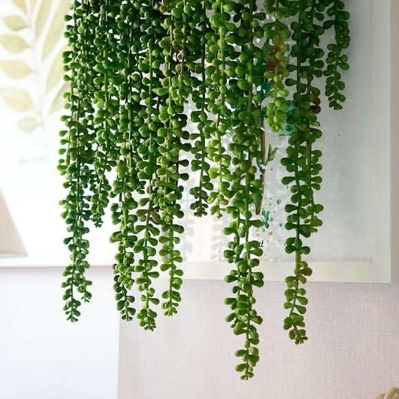 Decoración Floral de Pared Colco Verde Plantas de suculentas artificiales