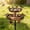 brown, variant on Lunxisen 1 Pcs Outdoor Bird Bath Feeder Stand Garden Courtyard Meadow Attracting Wild Birds Bathing Basin Wildlife Habitat Decoration(S)