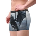 thumbnail image 3 of Bingfone Valley Gray Dragon Men's Underwear - Casual Stretch Boxer Briefs-X-Large, 3 of 7