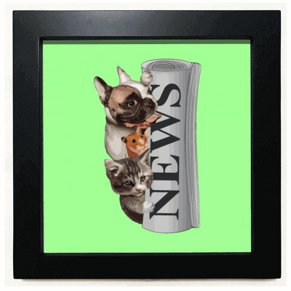 Roll Newspaper Pet Group Art Deco Fashion Black Square Frame Picture Wall Tabletop