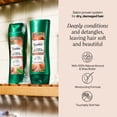 thumbnail image 2 of Suave Moisturizing Conditioner With 100% Natural Almond & Shea Butter, 12.6 FL OZ, 2 of 8